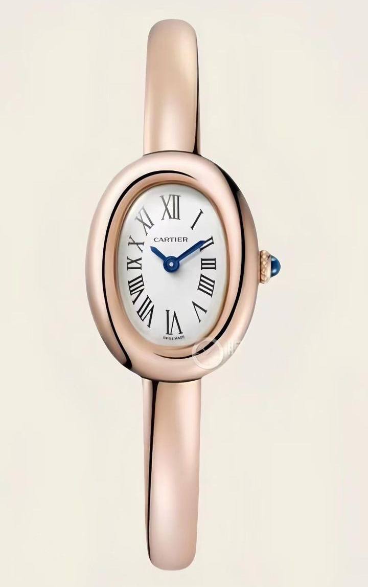 Montre baignoire